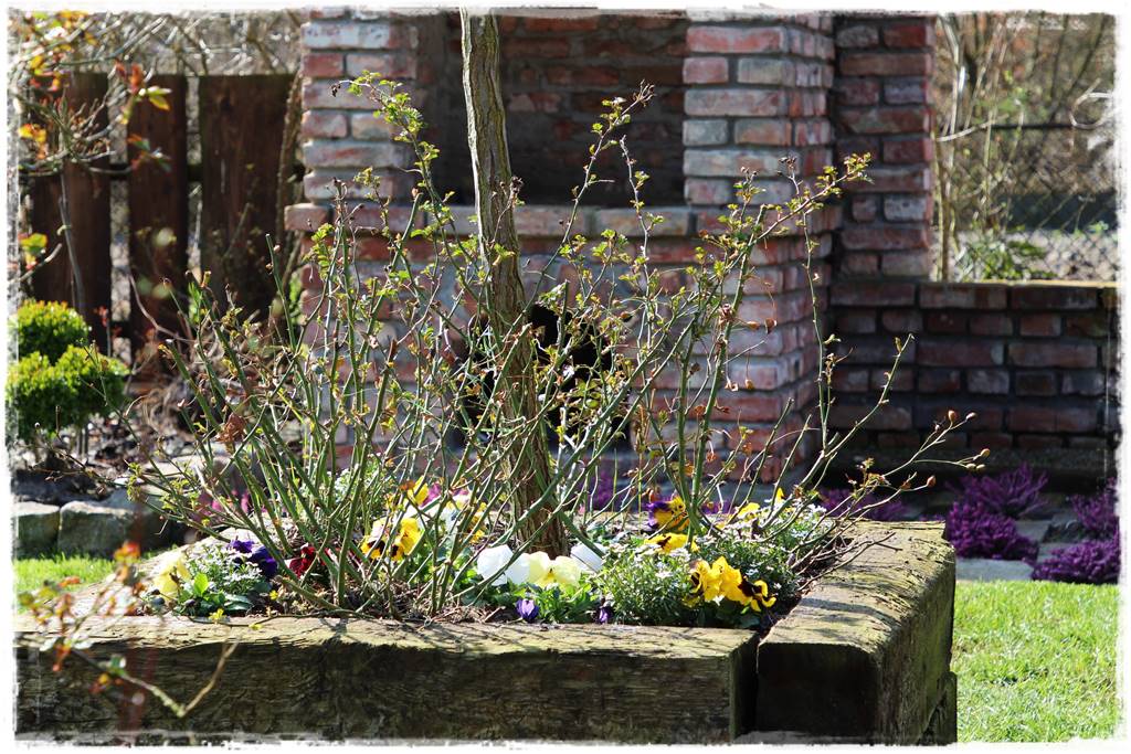 Wiosenne kwiaty aranżacje 1j