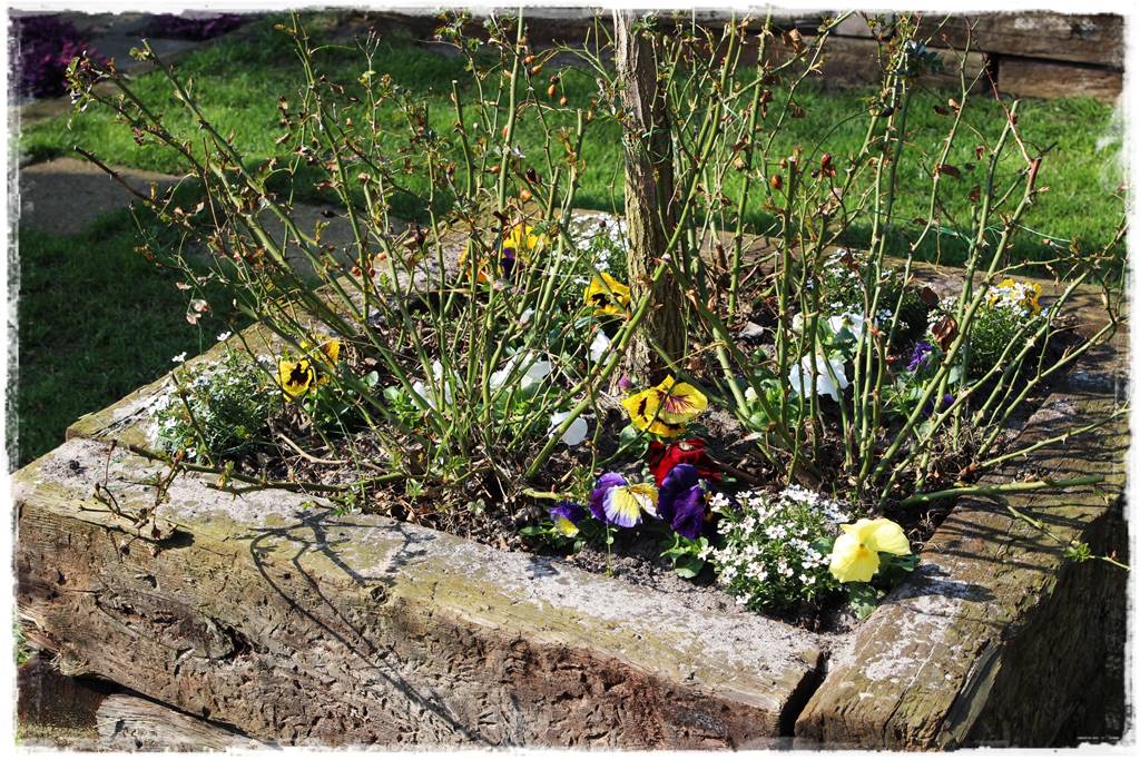 Wiosenne kwiaty aranżacje 1k