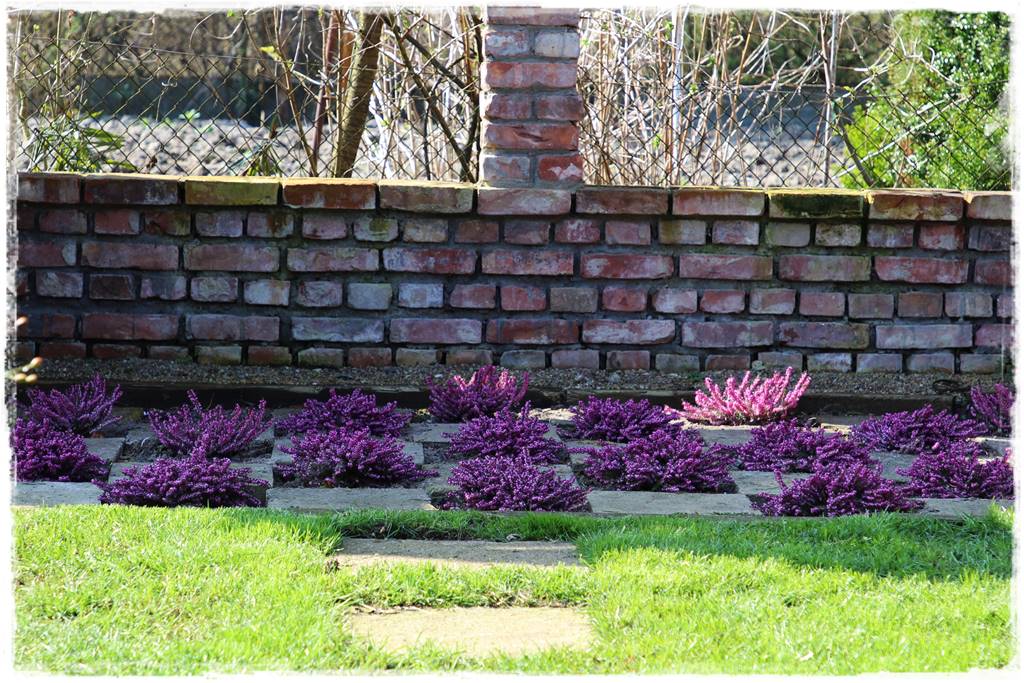 Wiosenne kwiaty aranżacje 1r