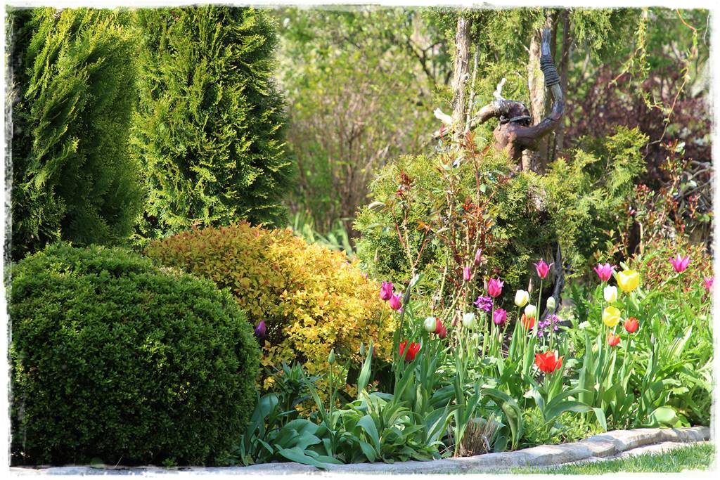 Wiosenne kwiaty aranżacje 2