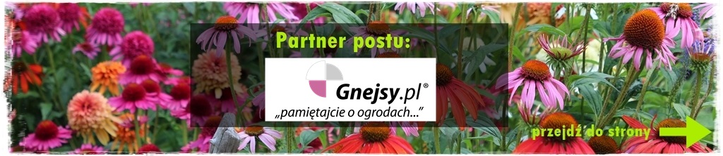 Wiosenne kwiaty aranżacje 200