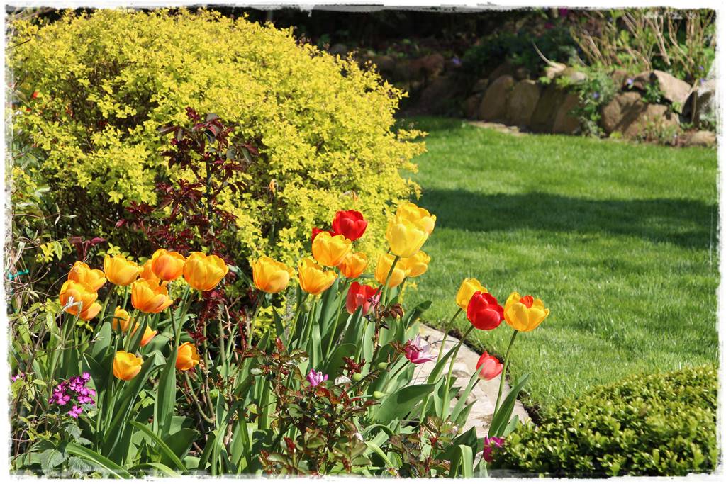 Wiosenne kwiaty aranżacje 2d