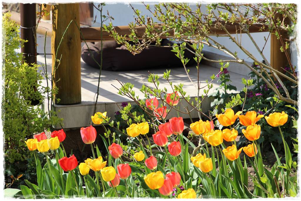 Wiosenne kwiaty aranżacje 2e