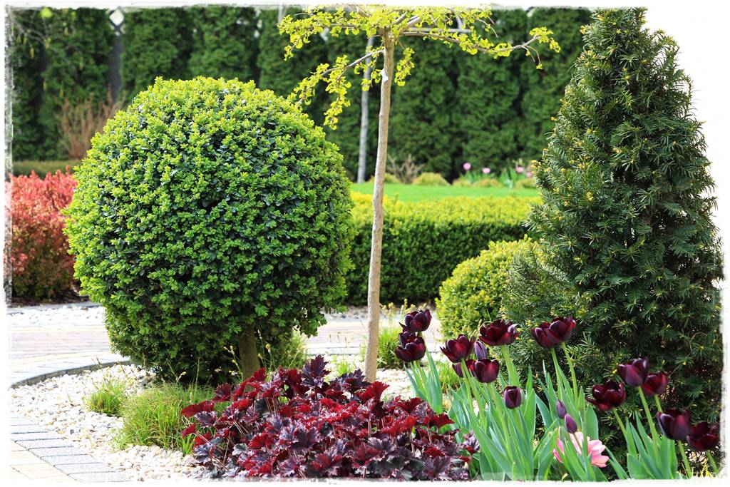 Wiosenne kwiaty aranżacje 3