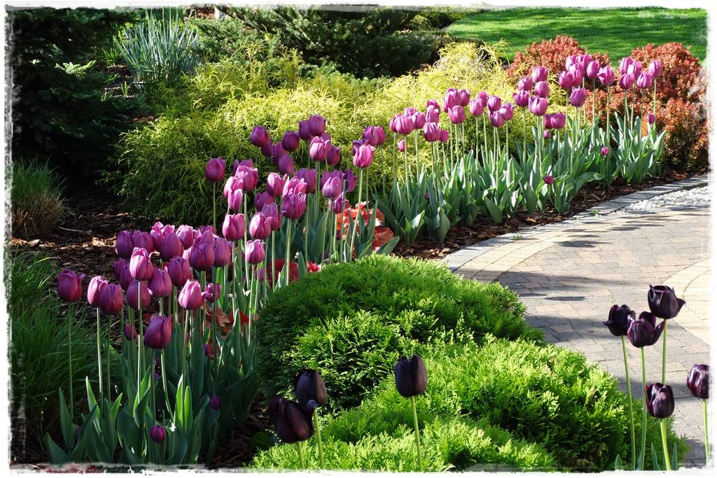 Wiosenne kwiaty aranżacje 3a