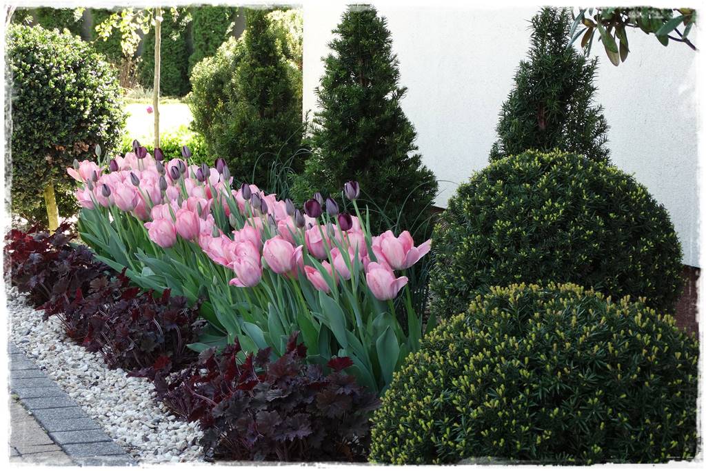 Wiosenne kwiaty aranżacje 3c