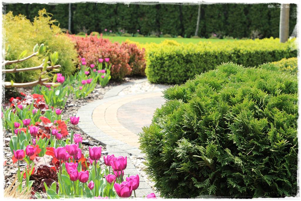 Wiosenne kwiaty aranżacje 3d