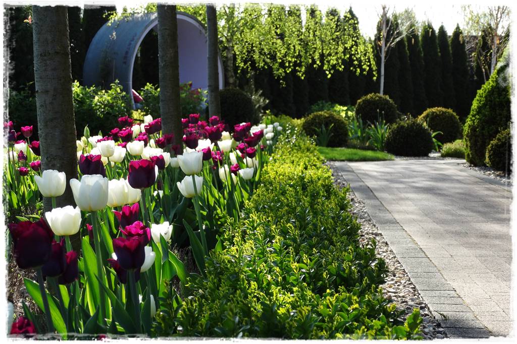 Wiosenne kwiaty aranżacje 3e