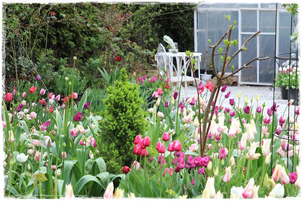 Wiosenne kwiaty aranżacje 4e