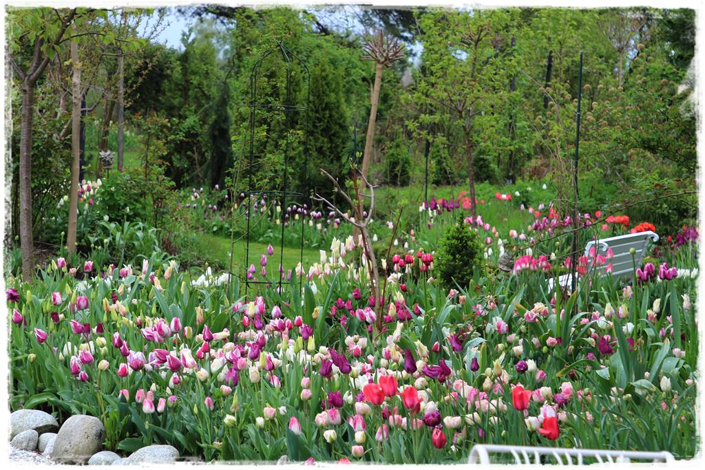 Wiosenne kwiaty aranżacje 4f