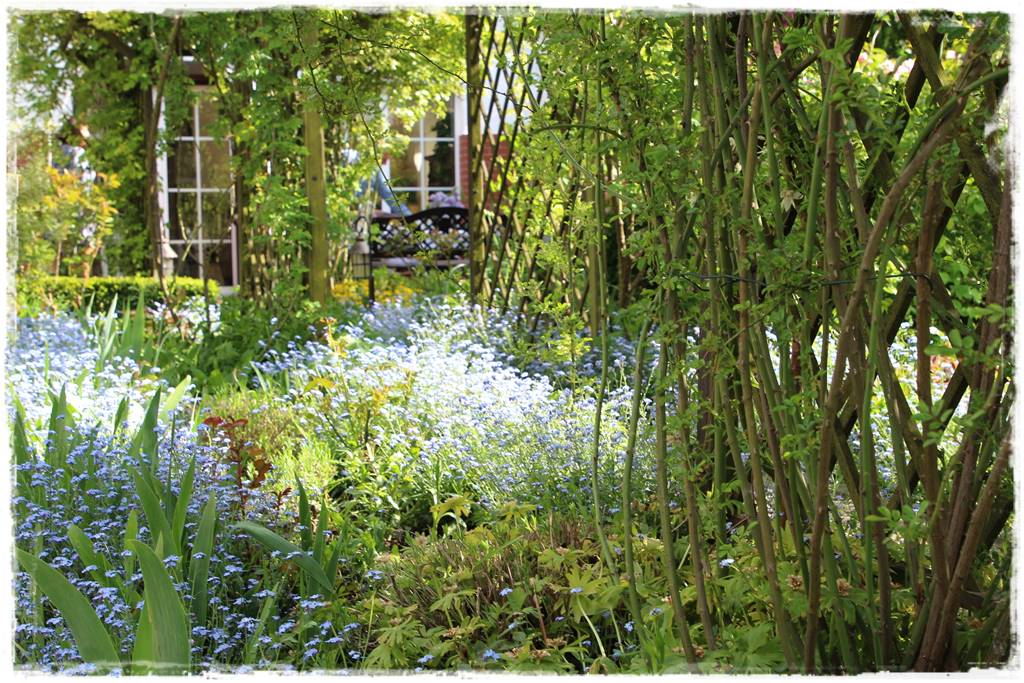 Wiosenne kwiaty aranżacje 5b