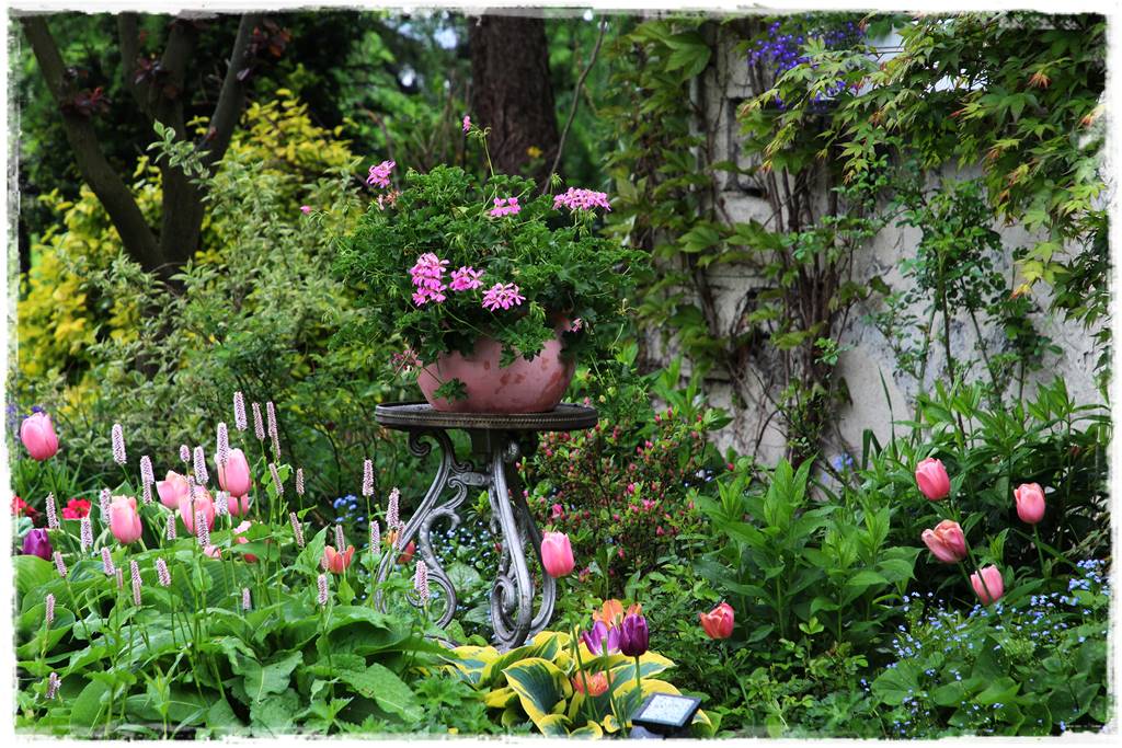 Wiosenne kwiaty aranżacje 6