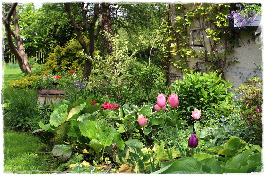 Wiosenne kwiaty aranżacje 6a