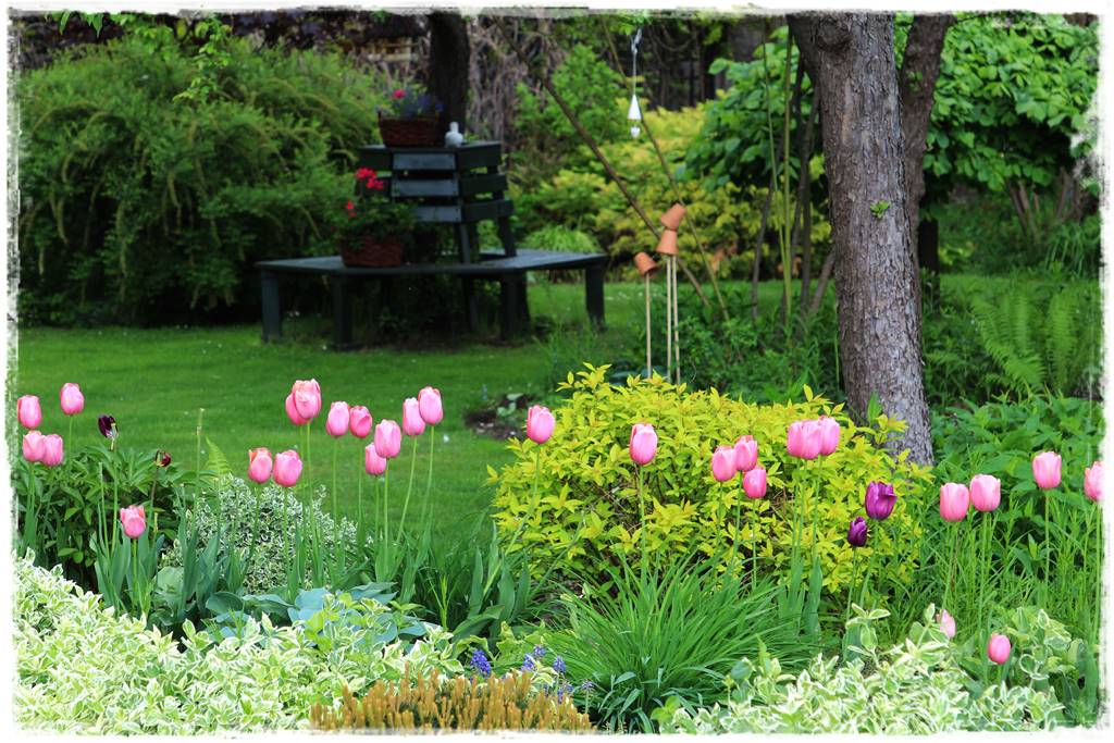 Wiosenne kwiaty aranżacje 6e