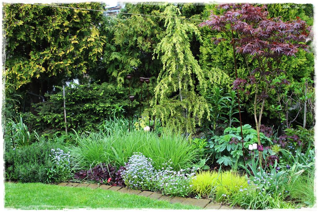 Wiosenne kwiaty aranżacje 7b