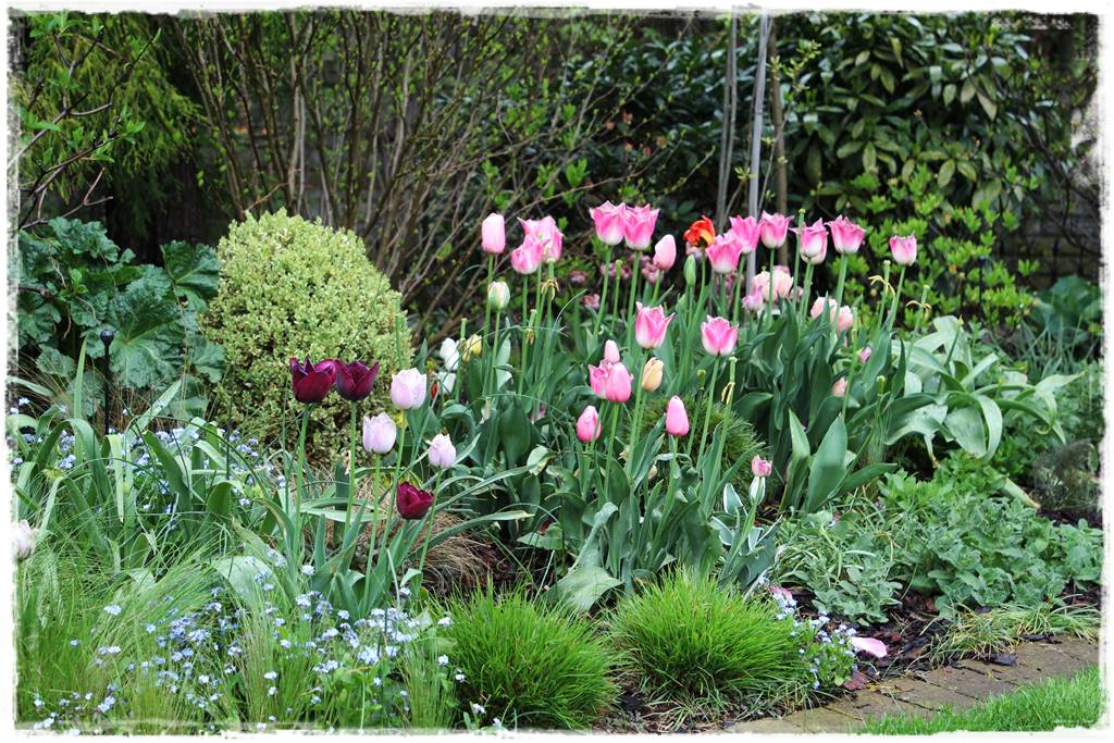 Wiosenne kwiaty aranżacje 7d