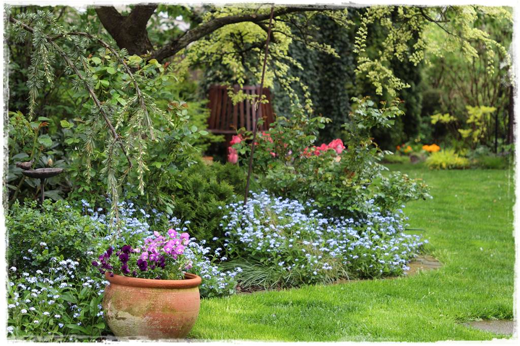 Wiosenne kwiaty aranżacje 7e