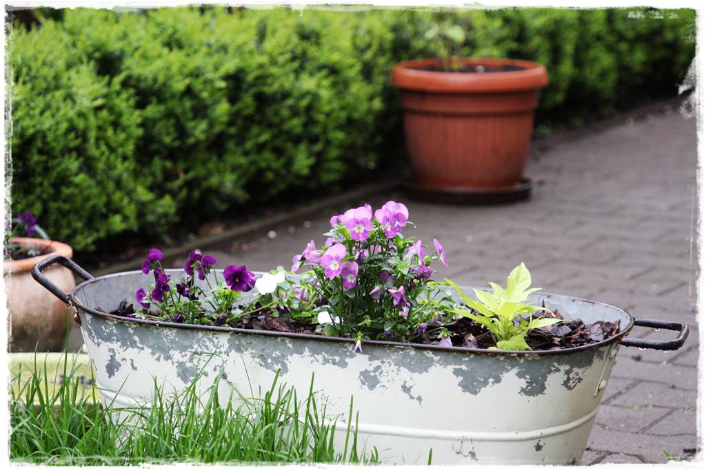 Wiosenne kwiaty aranżacje 7g