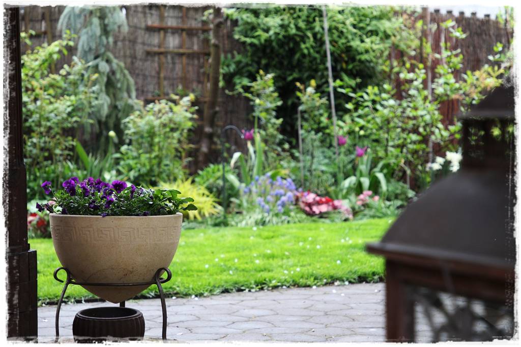 Wiosenne kwiaty aranżacje 7h