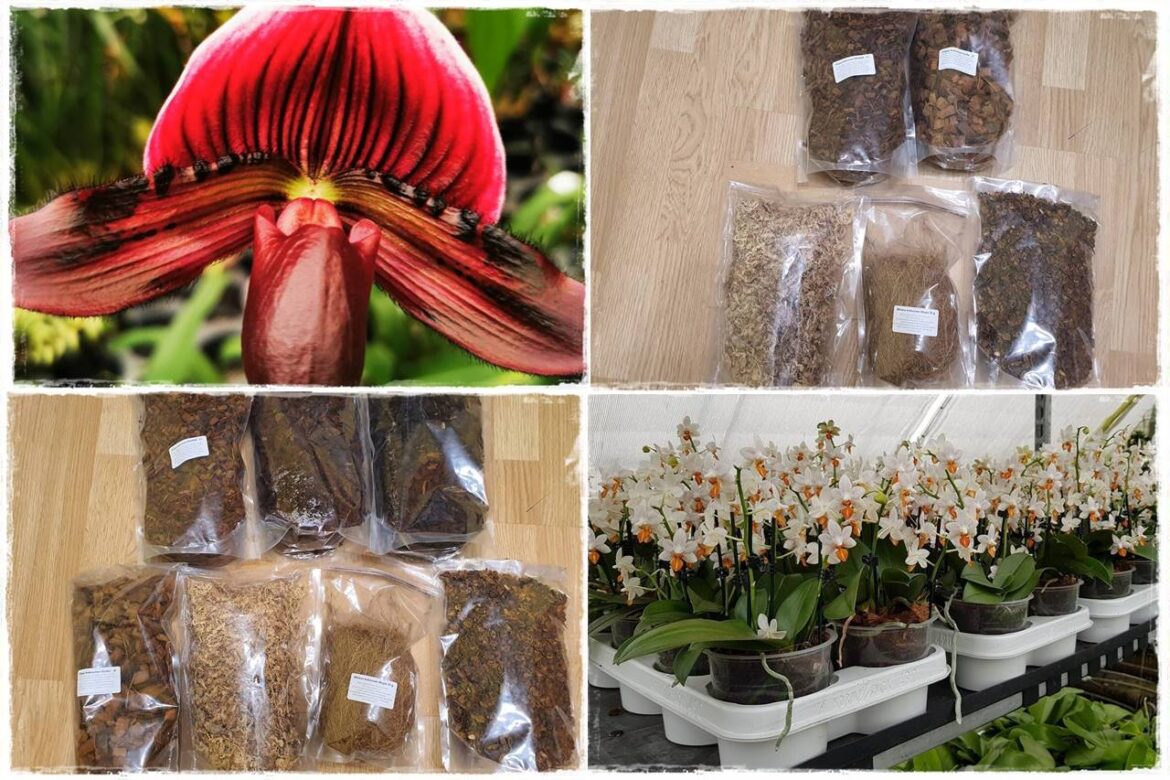 organiczne podłoża dla storczyków 0