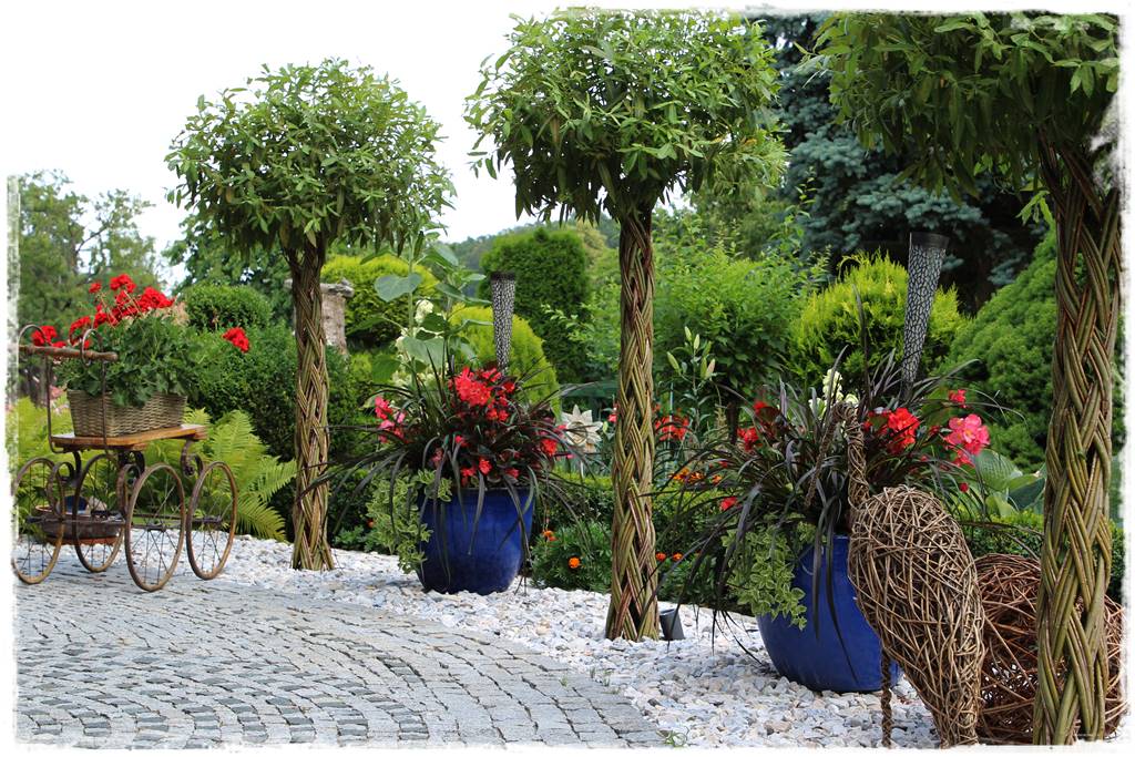 wierzby ozdobne w ogrodzie 1