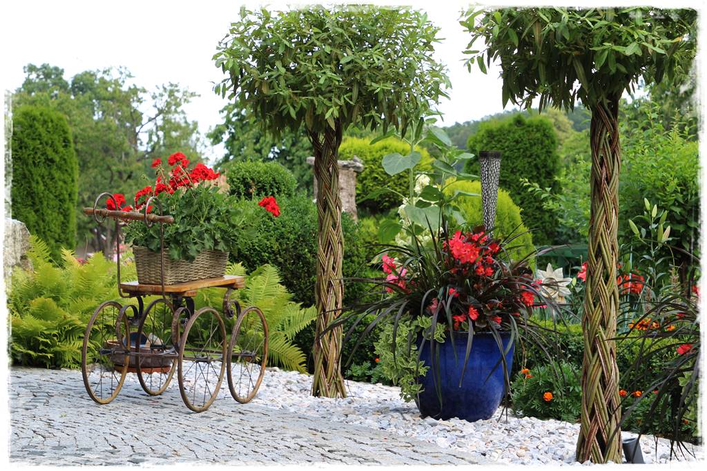 wierzby ozdobne w ogrodzie 1e