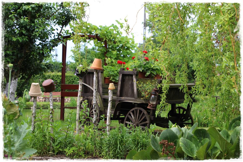 wierzby ozdobne w ogrodzie 3b