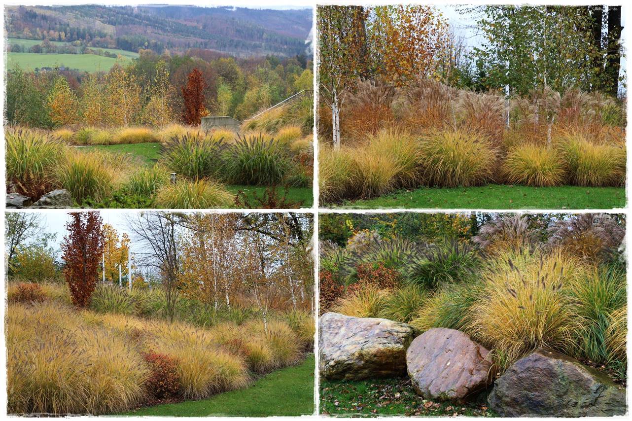 zbuduj swój dom i ogród 18