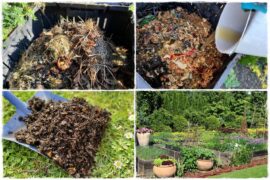 Jak przyspieszyć kompostowanie 0