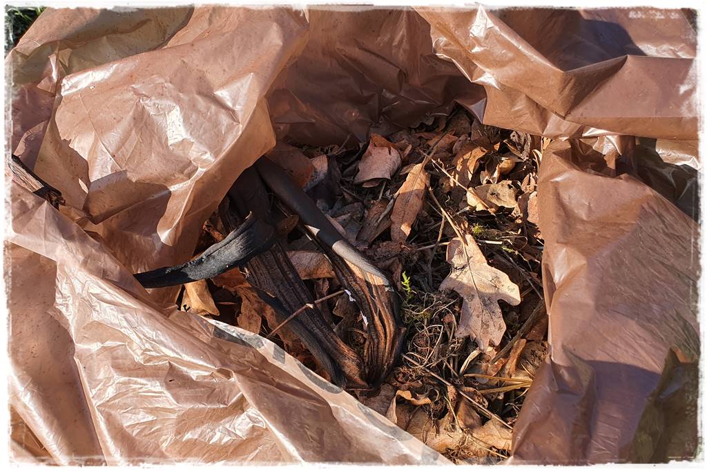 Jak przyspieszyć kompostowanie 0d