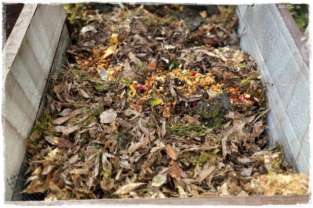 Jak przyspieszyć kompostowanie 0e