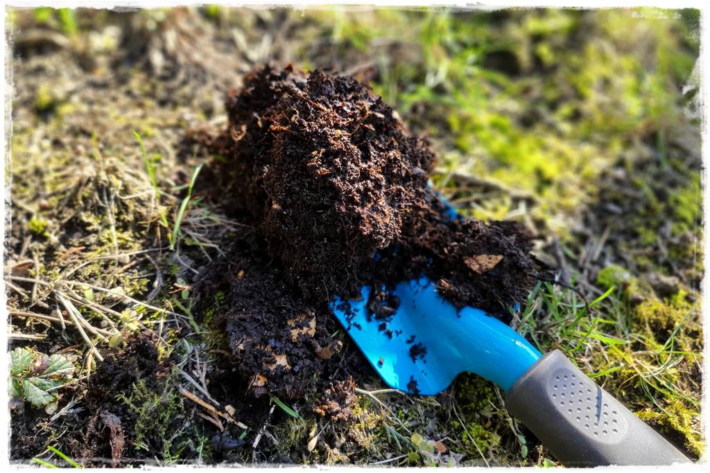 Jak przyspieszyć kompostowanie 0f