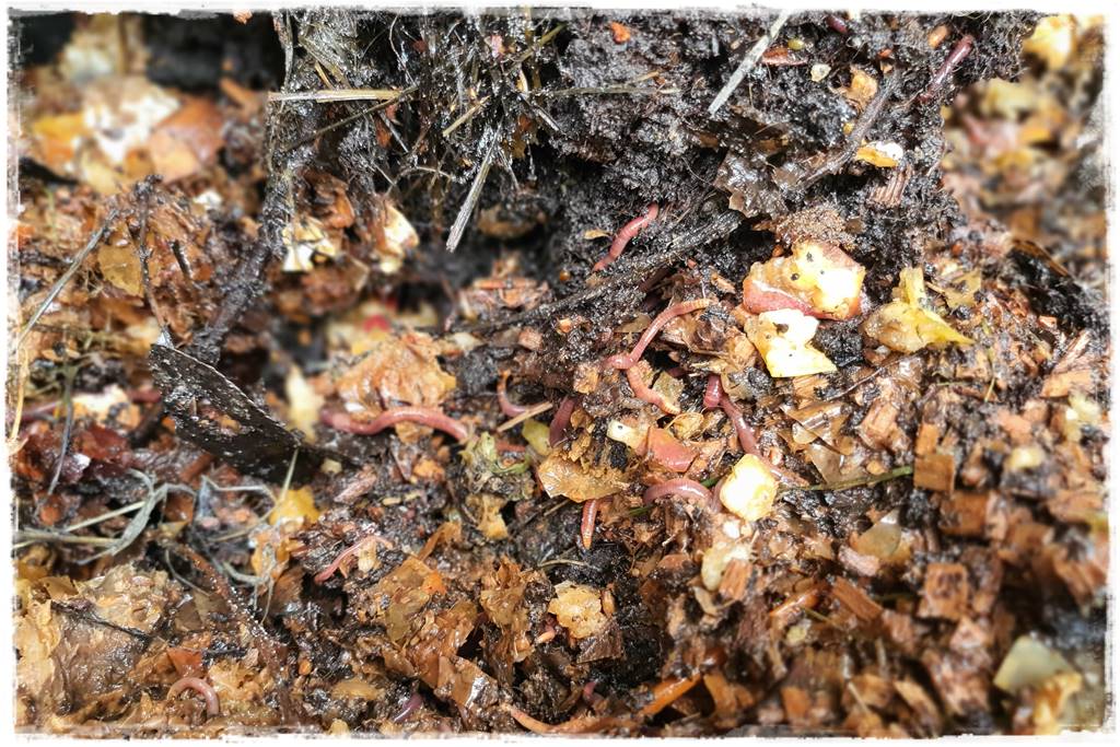 Jak przyspieszyć kompostowanie 0l