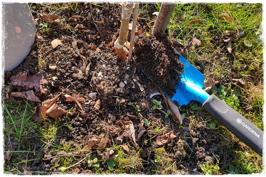 Jak przyspieszyć kompostowanie 0m