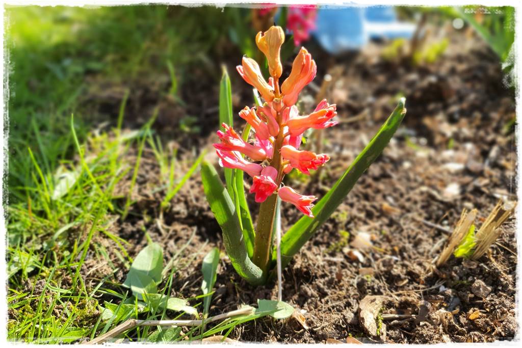 Jak przyspieszyć kompostowanie 0n