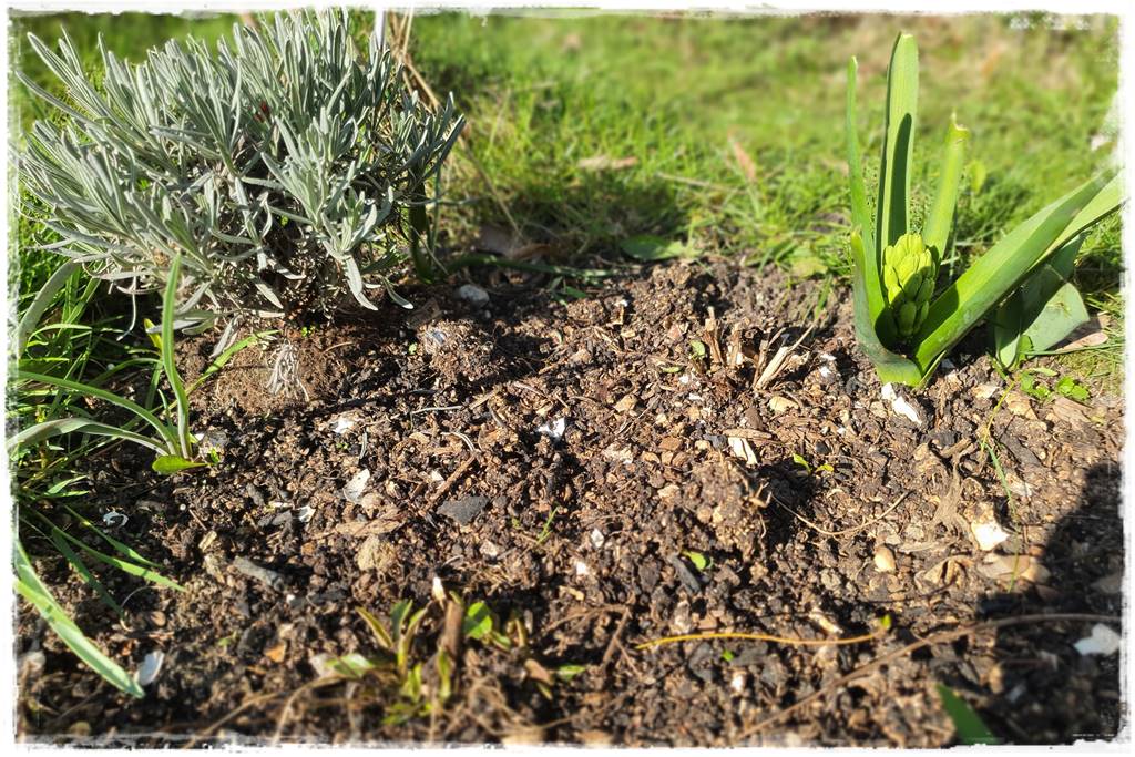 Jak przyspieszyć kompostowanie 0p