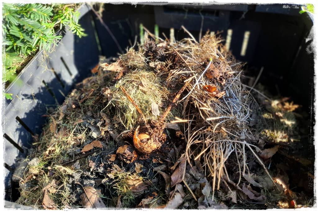 Jak przyspieszyć kompostowanie 1
