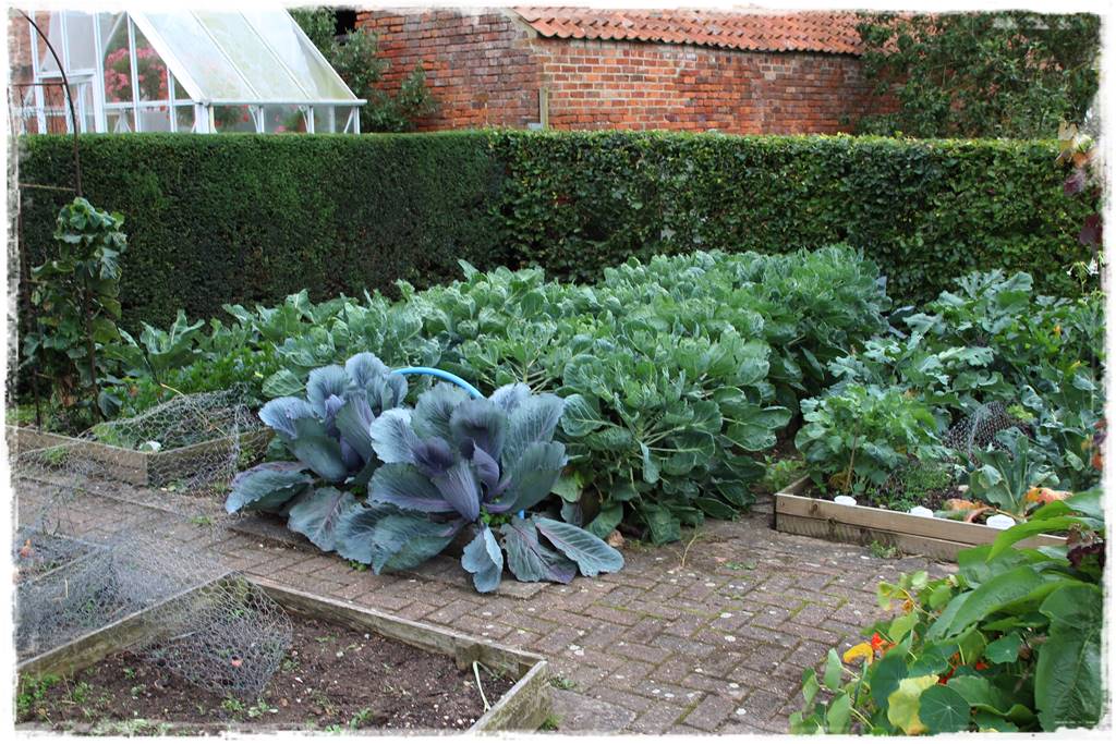 Jak przyspieszyć kompostowanie 10