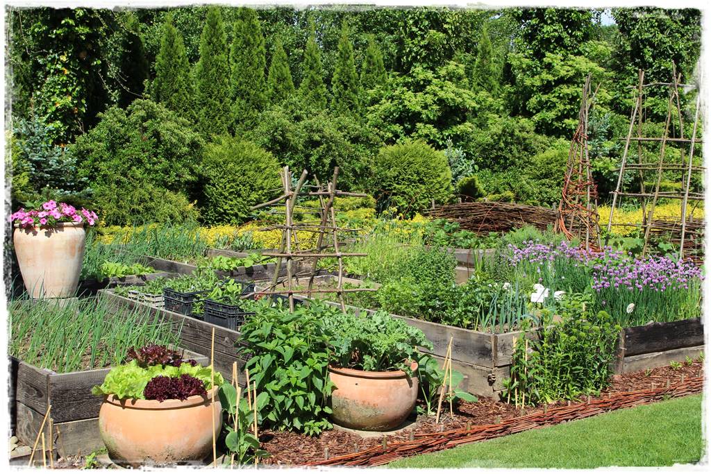 Jak przyspieszyć kompostowanie 12