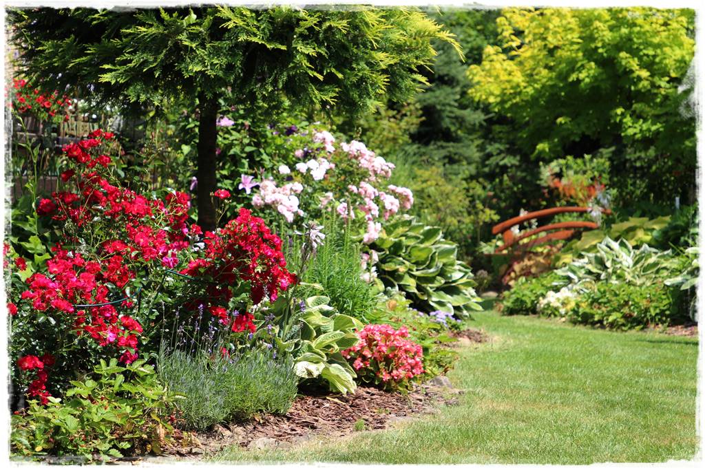 Jak przyspieszyć kompostowanie 13