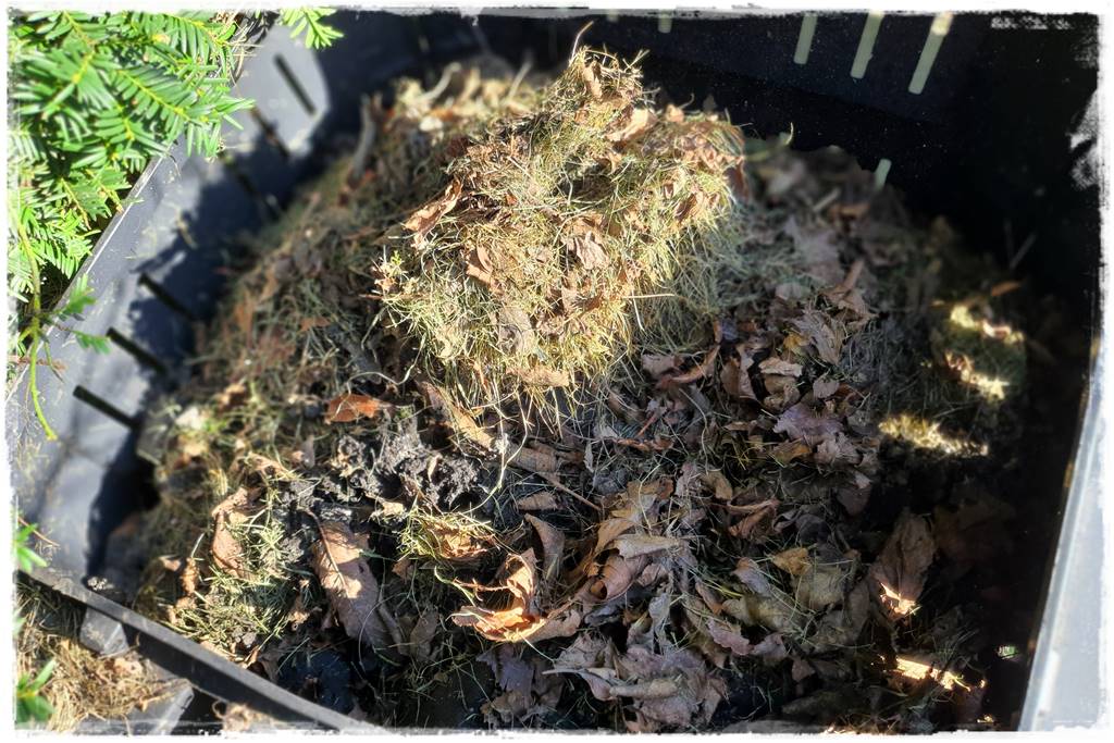 Jak przyspieszyć kompostowanie 2