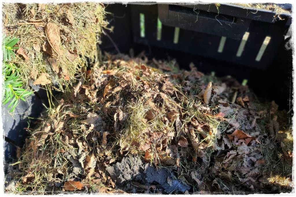 Jak przyspieszyć kompostowanie 23