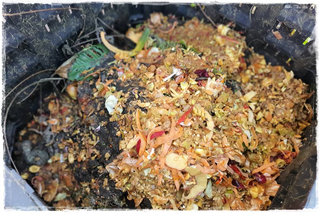 Jak przyspieszyć kompostowanie 2a