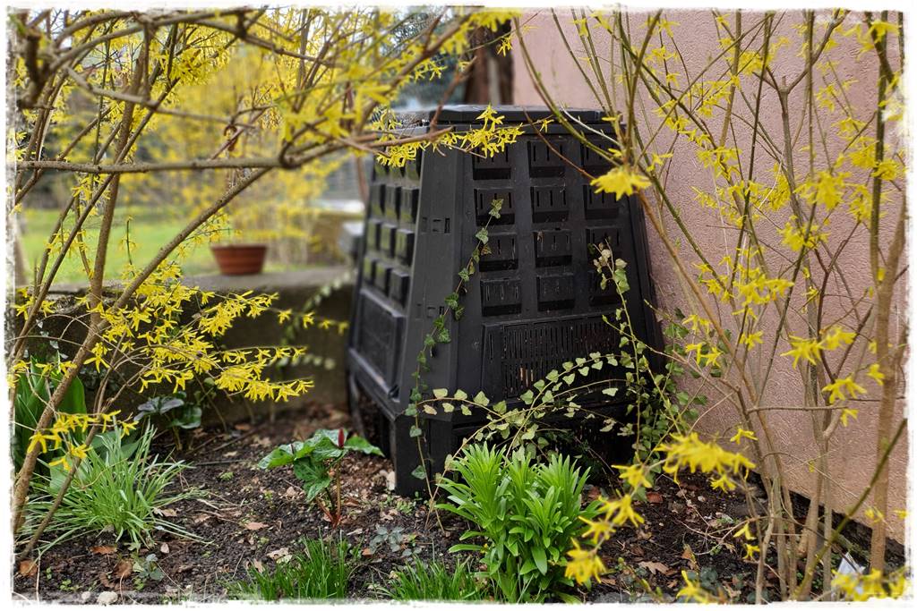 Jak przyspieszyć kompostowanie 3a