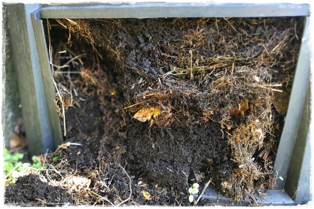 Jak przyspieszyć kompostowanie 4