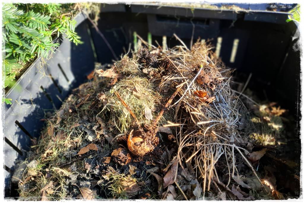 Jak przyspieszyć kompostowanie 6