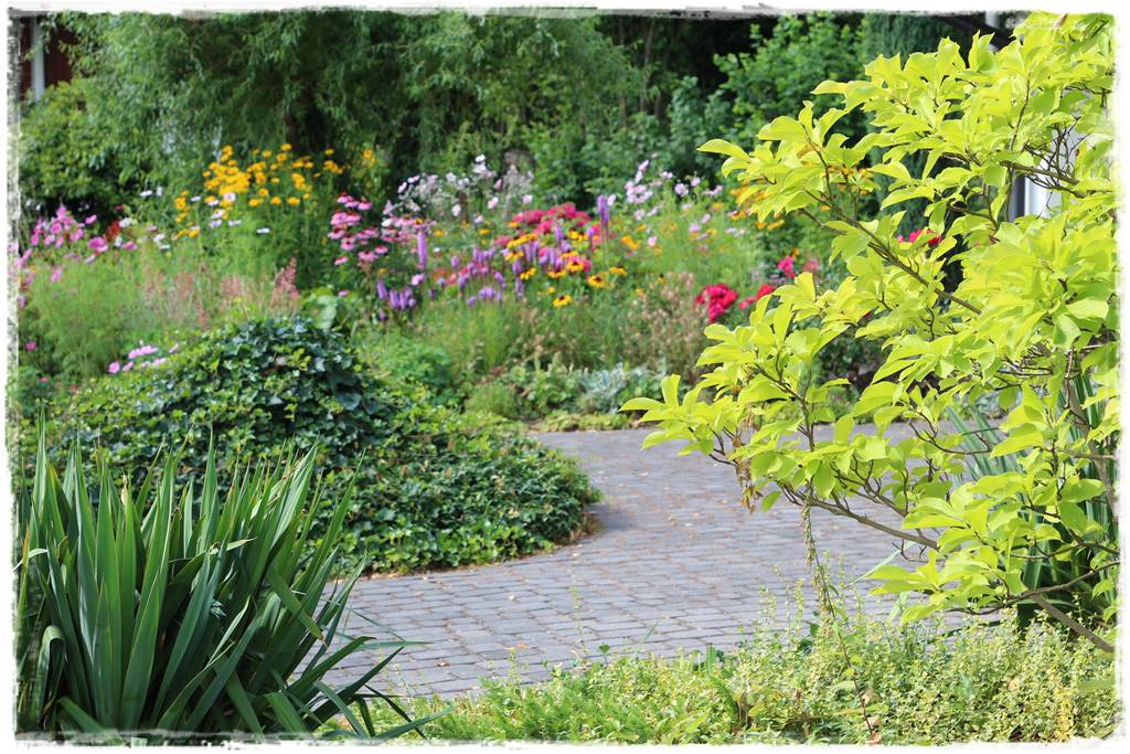 Magnolia w ogrodzie aranżacje 13a Magnolia w ogrodzie aranżacje 13a