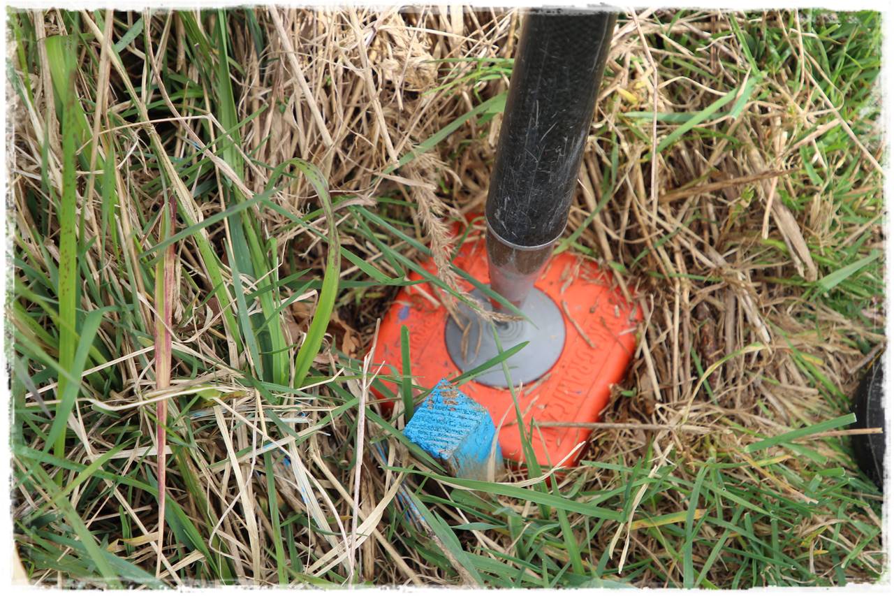 Mapa do celów projektowych 10