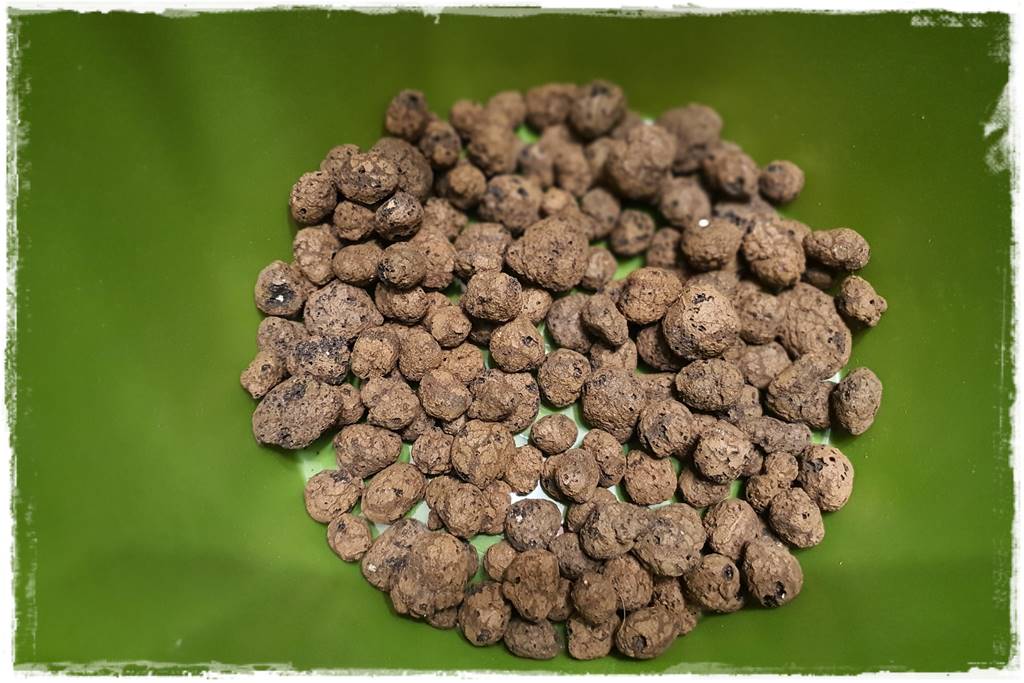 Przesadzanie roślin doniczkowych 3 Przesadzanie roślin doniczkowych 3