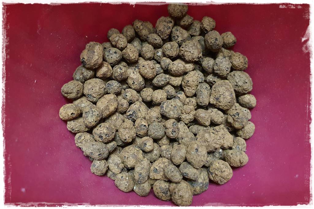 Przesadzanie roślin doniczkowych 3a Przesadzanie roślin doniczkowych 3a